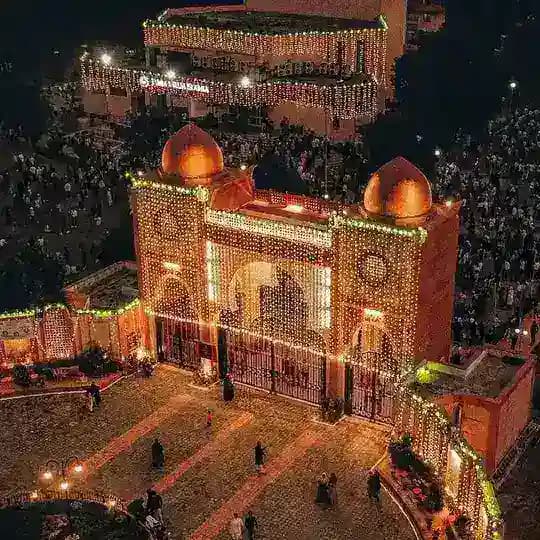 Jmi/amu bsc bioscience/biotech entrance exam preparation Profile