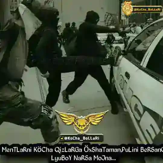 Kocha BOLLARI Profile