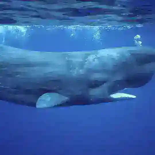 Ich will ne 5000er Gruppe Profile