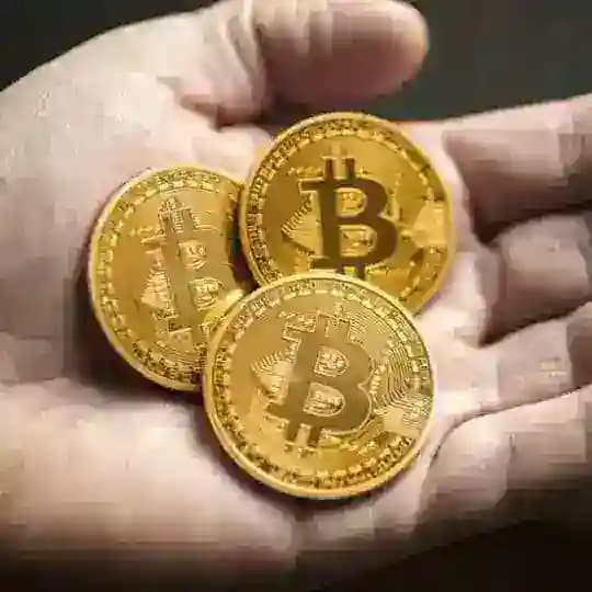 Kripto Para Dünyası Profile