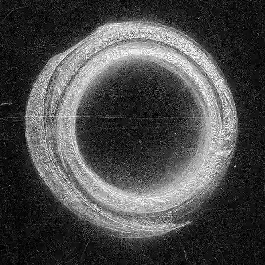 LIMB shelter Profile