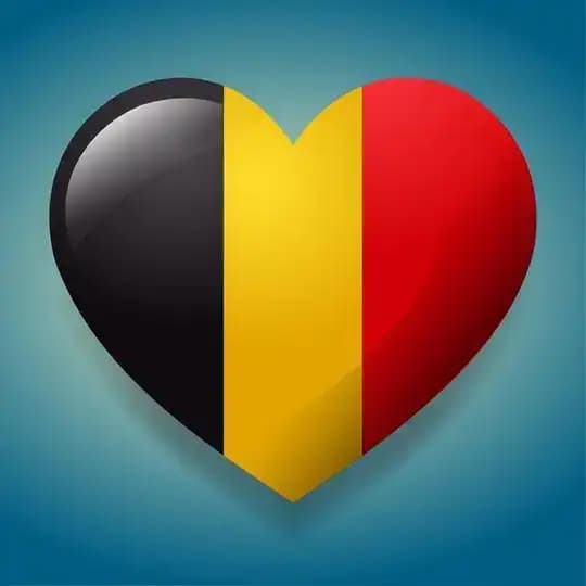 БЕЛЬГИЯ / LIMBURG Profile