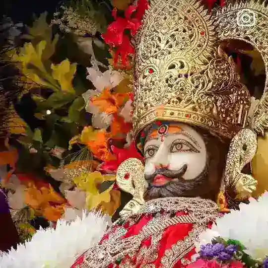 🪶🌻🦢REET*सपनो की उड़ान*🙏🕊🕊 Profile