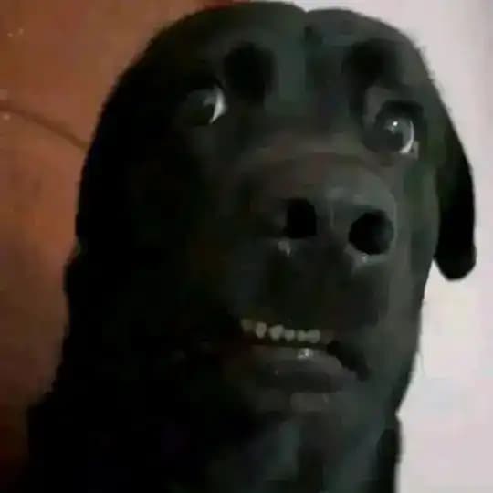 Online Income Bangladesh 🇧🇩 chat Profile