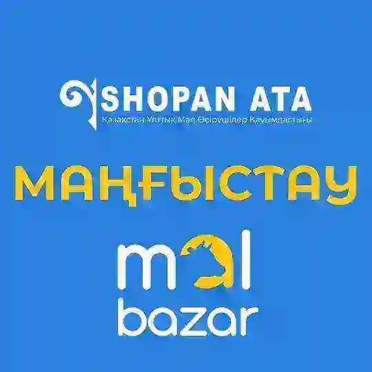 12 | Шопан Ата (Манғыстау) Profile