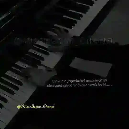 MissSHOP🐼 Profile