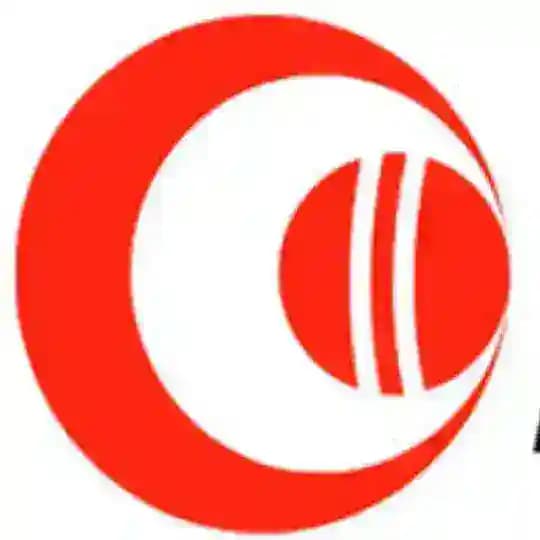 My 11 circle and Dream 11 Profile