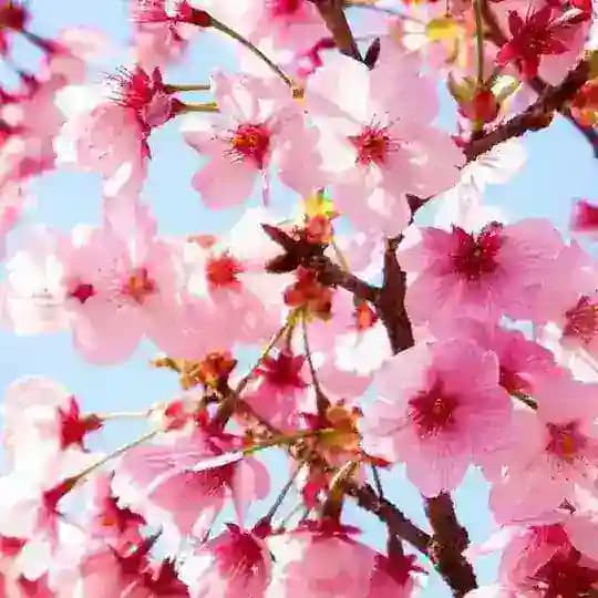 Bay lắc 🕺 Profile