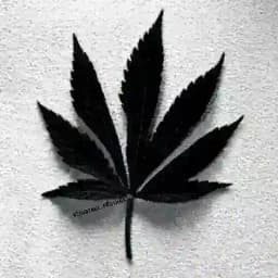 ONLAYIN TOPISHMOQLAR UZB Profile