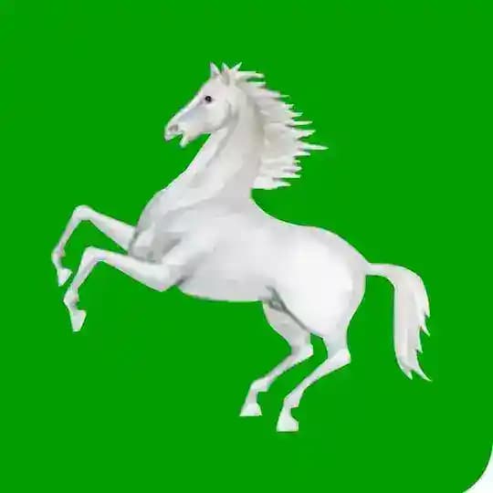 ORIGINAL TOMSK CHAT Profile