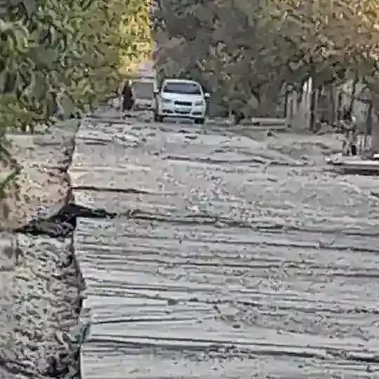 Озод кўчамиз! Profile