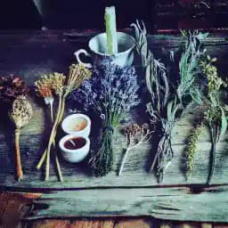 *Pacha Mama* Dschungelhexe 🌍💚 Profile