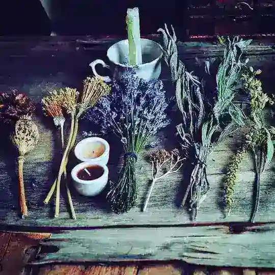 *Pacha Mama* Dschungelhexe 🌍💚 Profile