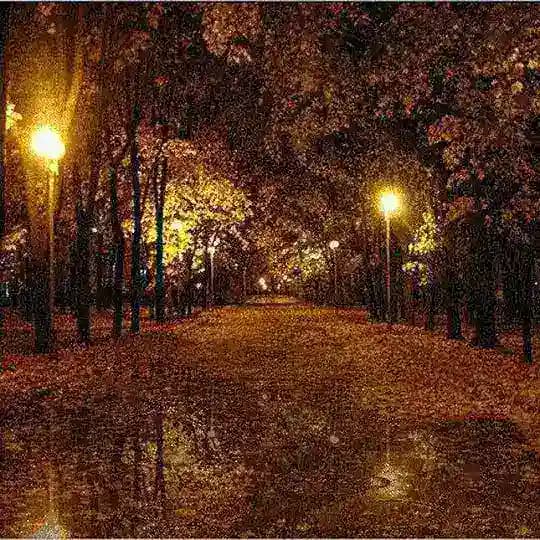 Payız.Gecesi💚🍂 Profile