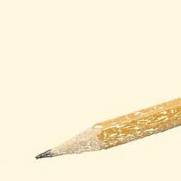 $PENCIL ✏️ Profile