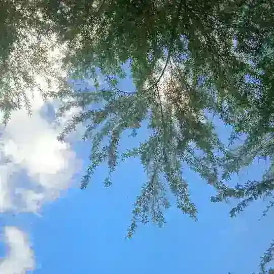 Solicitud de películas Un Click Profile