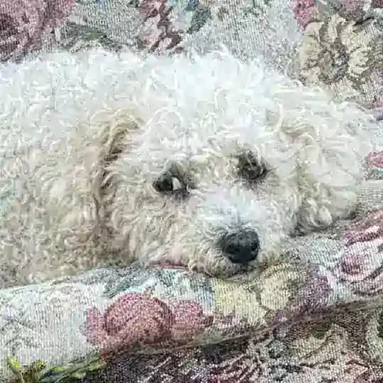 Люсенька нашлась! Profile