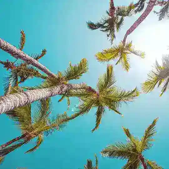 ✈️Пошук попутників Україна 👌 Profile