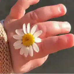 Психолог САЛИМАХОН Profile