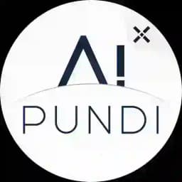 Pundi AI | Français Profile