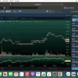 TRÒ CHƠI TÀI CHÍNH- REDPILL Profile