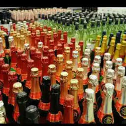 SALQIN ICHIMLIKLAR Profile