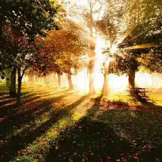 Schöpferkraft Profile