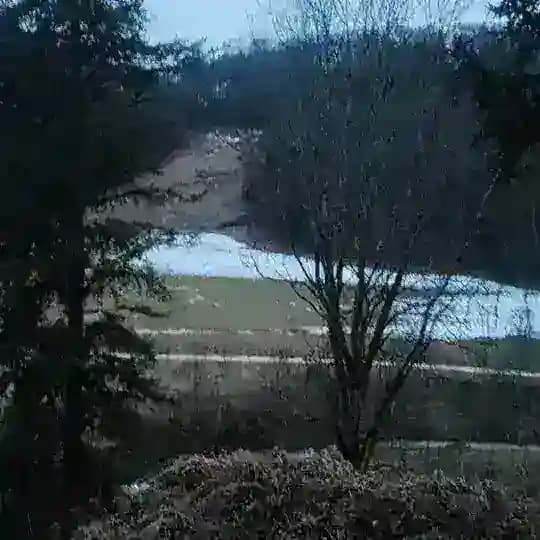 Land of Sharewood Forst Profile