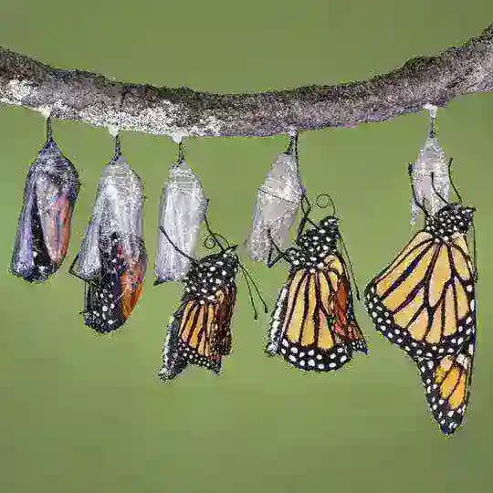 تکنسین ذهن خود باشیم Profile