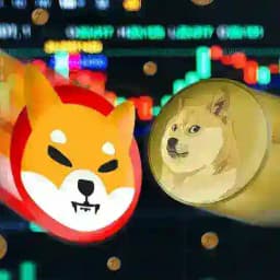 دوج کوین <<تحلیل تکنیکال >>شیبا/بیت کوین Profile