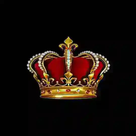 👑 SHohoNa 👑 Profile