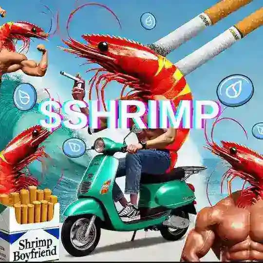 $SHRIMP BOYFRIEND Profile