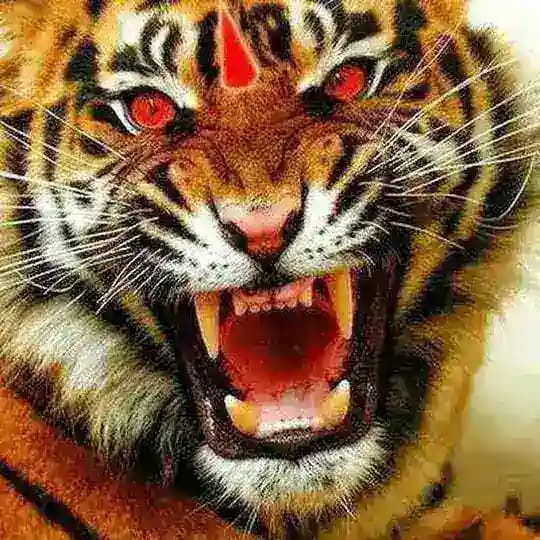 🎯Nilesh bhai king 🤴 🎯 Profile