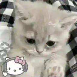 ✺ GrEaT TiMe✸ Profile