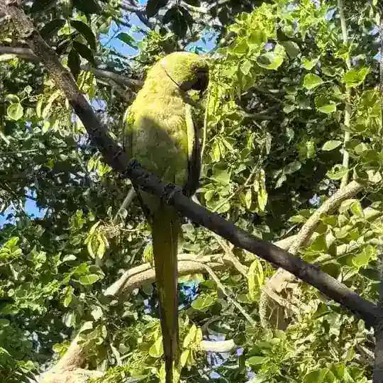 Buy Aged Old Groups Channels Bots כיוונים ירושלים Profile