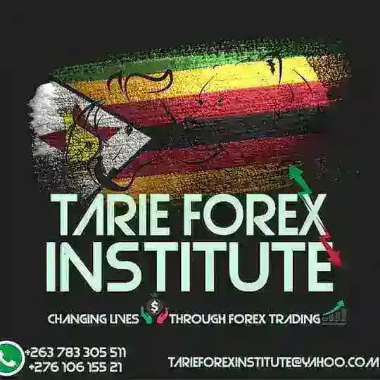 Forex Trading Zim Profile