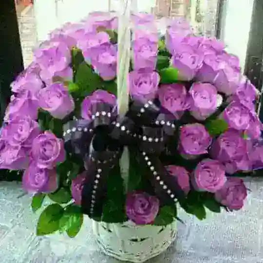 قروب الحب Profile