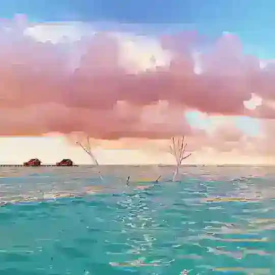 The Aesthetic Monarchy 🌺 Profile