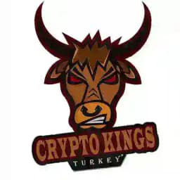 Crypto Kings TR® 🇹🇷 Profile