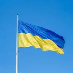 Українці Gomaringen Profile