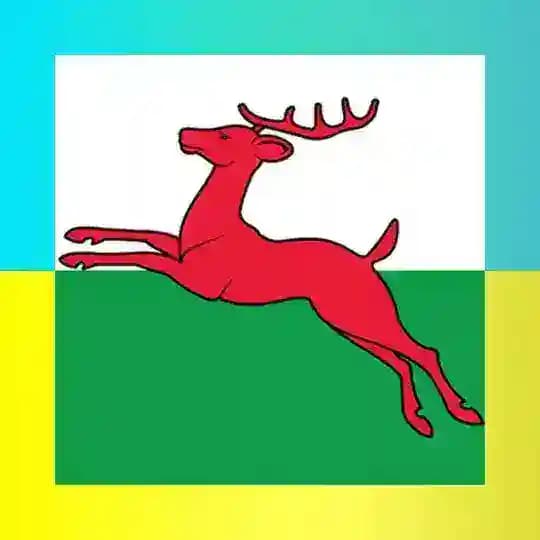 Ukrainian in Smallingerland Profile