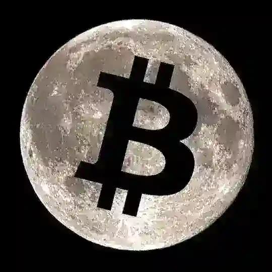 USDT DAILY TRADE Profile