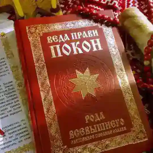 ВЕДА ПРАВИ Profile