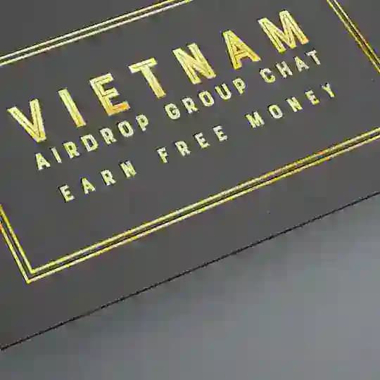 VIETNAM AIRDROP GROUP CHAT Profile