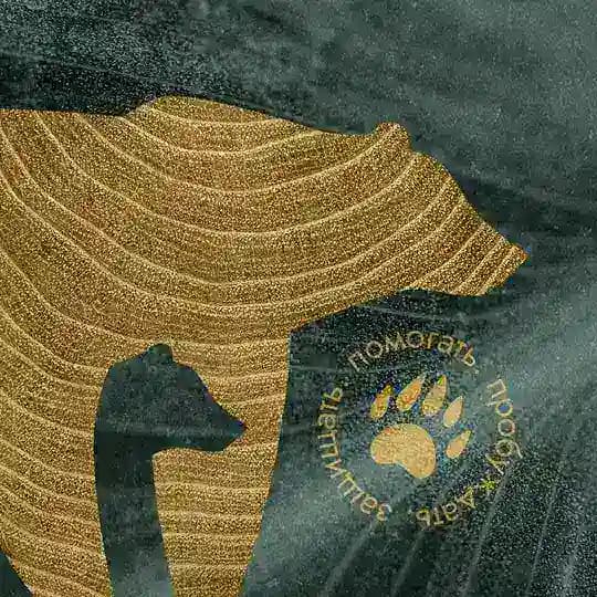 Волонтёры на защите природы Profile