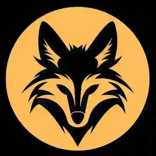 X Money Capital Profile