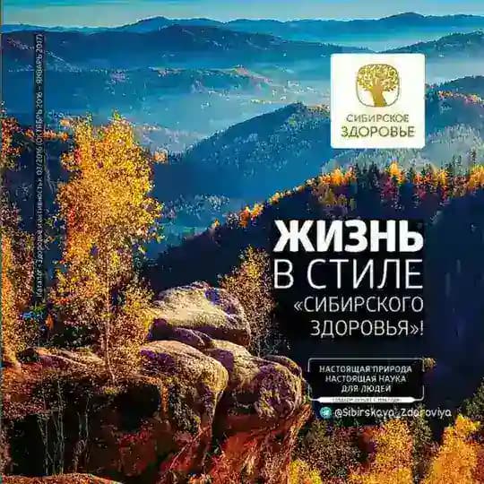 🌳ЗДОРОВЬЕ Profile