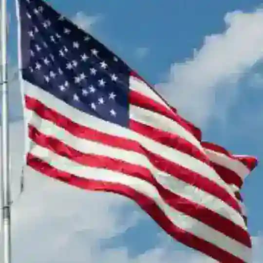 Tekin usalar Profile