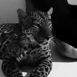 Знайомство Україна 18+ 🤍 Profile