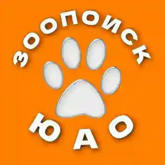 ЗоопоискЮАО | Потеряшки Питомцы ЮАО Москва Зябликово Орехово-Борисово Братеево Бирюлево Чертаново Царицыно Нагатино Нагатинский Profile